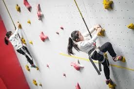 格林三节26分火箭大胜开拓者 骑士力克森林狼